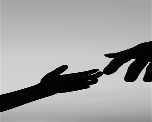 试管供卵供精，睾丸取精做试管婴儿要多少钱？